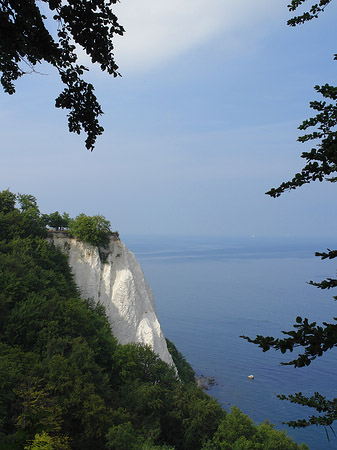 Königsstuhl Kreidefelsen Foto 