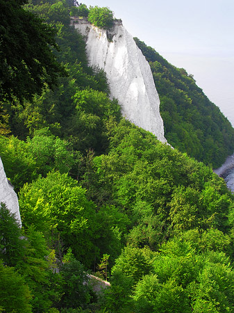 Foto Königsstuhl Kreidefelsen