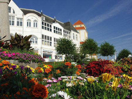 Seebrücke Binz Foto 