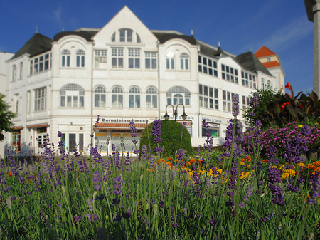 Seebrücke Binz Fotos