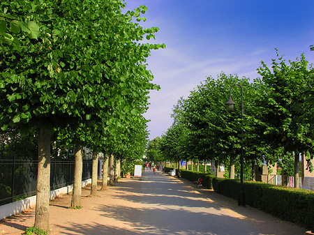 Fotos Strandpromenade | Ostseebad Binz