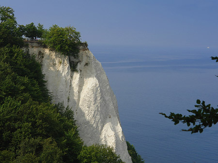 Königsstuhl Kreidefelsen Foto 