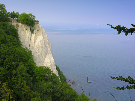 Königsstuhl Kreidefelsen Fotos