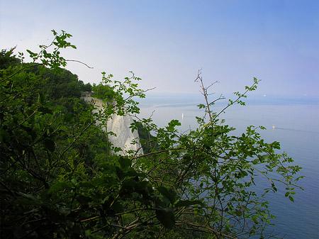 Königsstuhl Kreidefelsen Foto 