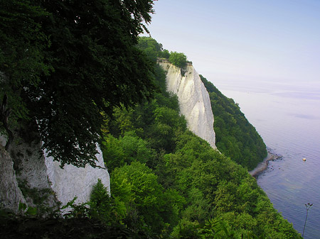 Königsstuhl Kreidefelsen Foto 