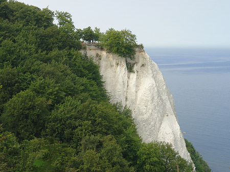 Königsstuhl Kreidefelsen Foto 