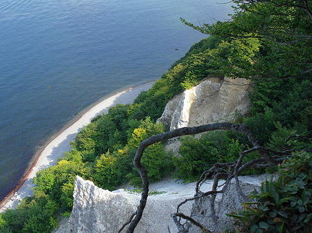 Kreidefelsen Foto 