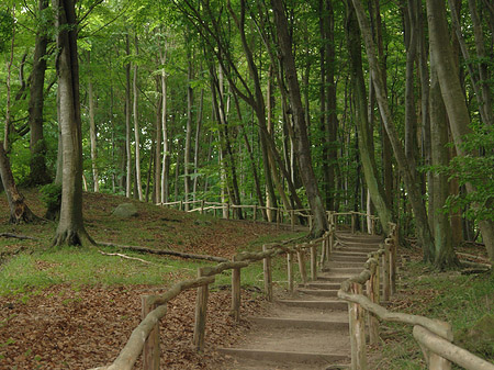 Kreidefelsen Wanderweg