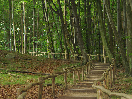 Foto Kreidefelsen Wanderweg