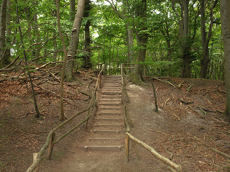 Fotos Kreidefelsen Wanderweg