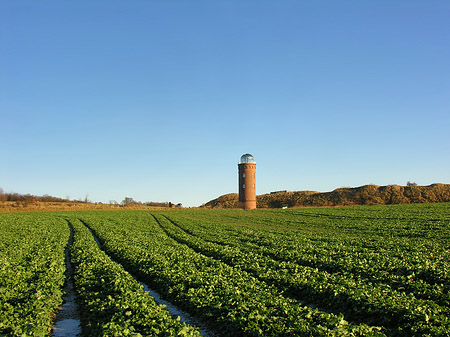 Foto Turm aus der Ferne - 