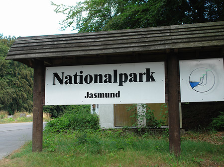 Foto Nationalpark Jasmund - Sassnitz