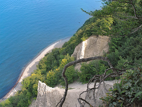 Foto Kreidefelsen - 